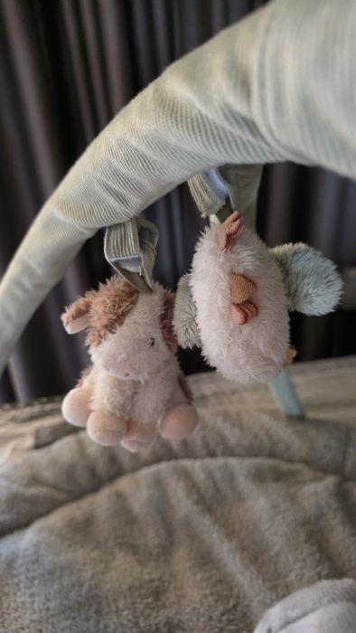 Активна гимнастика Little Dutch Little Farm