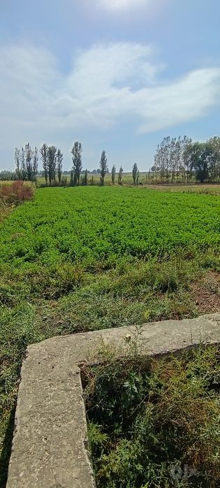 20 Sotiq uchaska sotiladi hamma hujjatlari joyida narxi keliahamiz