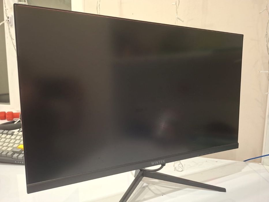 Монитор LED Wintek