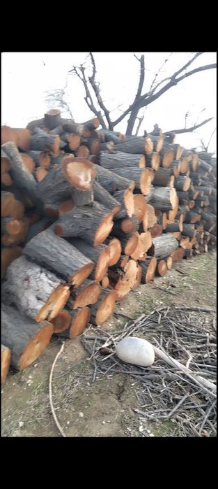 Quruq o'rik o'tin sotiladi