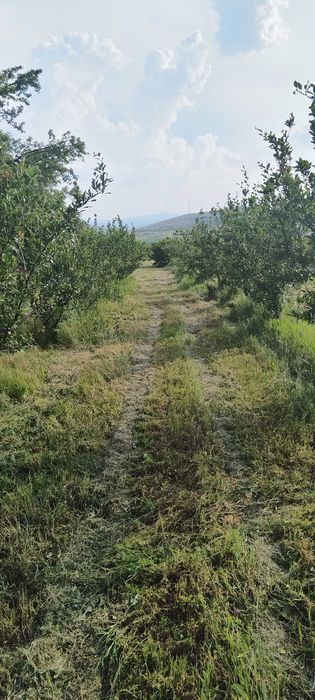 Продава се Земеделски имот в с. Синитово, Област Пазарджик -  кв.м за 2878 €/дка - Снимка #8