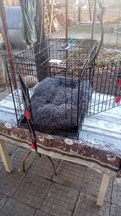 Метална клетка за куче