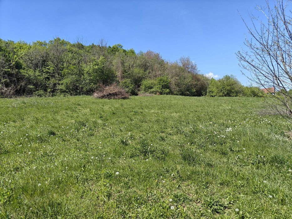 Teren intravilan 1400 m2  - la 10 minute (5 km) de centrul Târgu Mureș