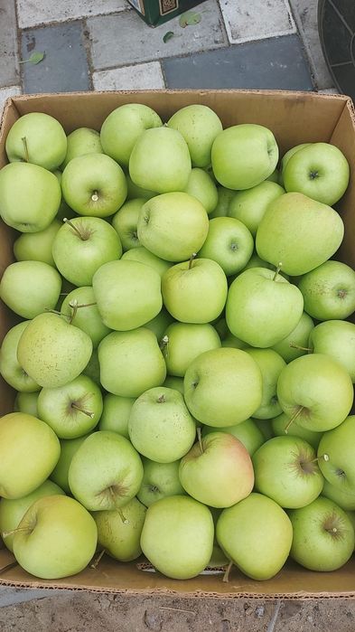 Vand mere Mere Golden,Idared,Gala