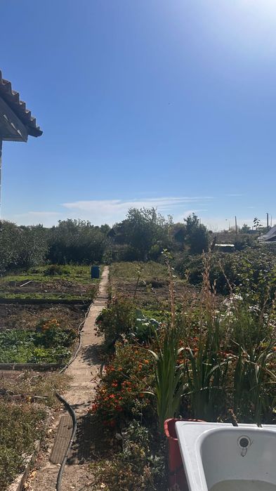 Продам 2 дачи СПП Каучук 8 соток+7 соток