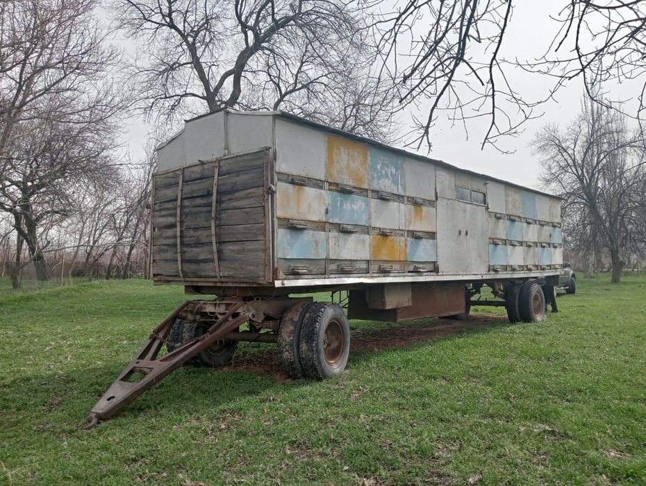 Пчелоприцеп с пчелами