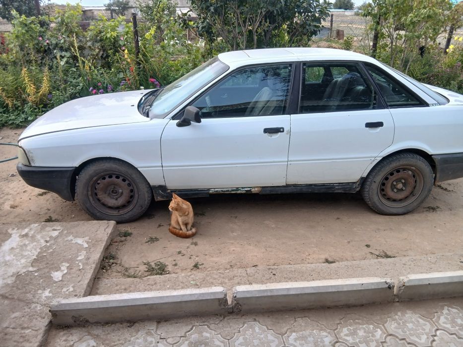 Машина на полном ходу