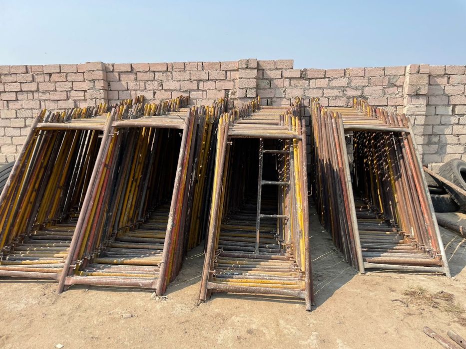 Лиса большой количестве