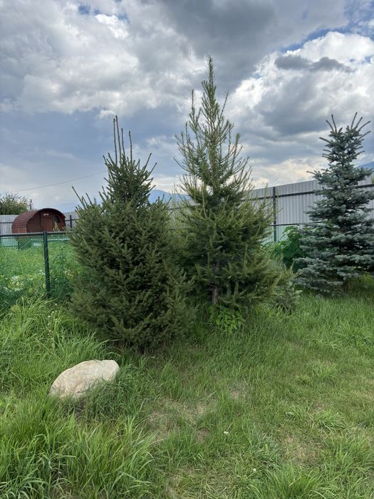 Продам жилой дом