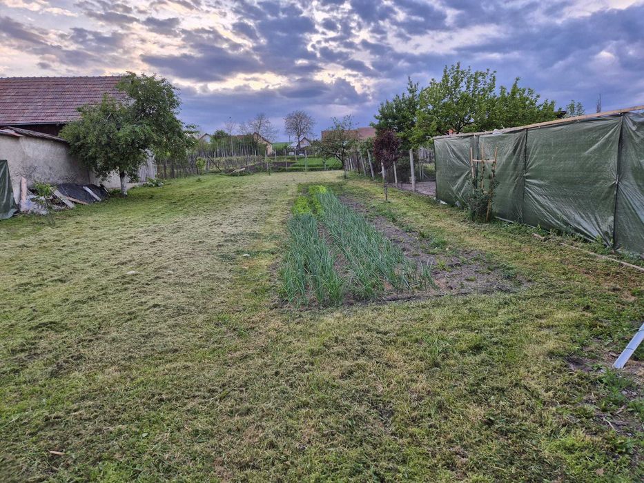 Casa Cut, renovată integral, smart home + fotovoltaice
