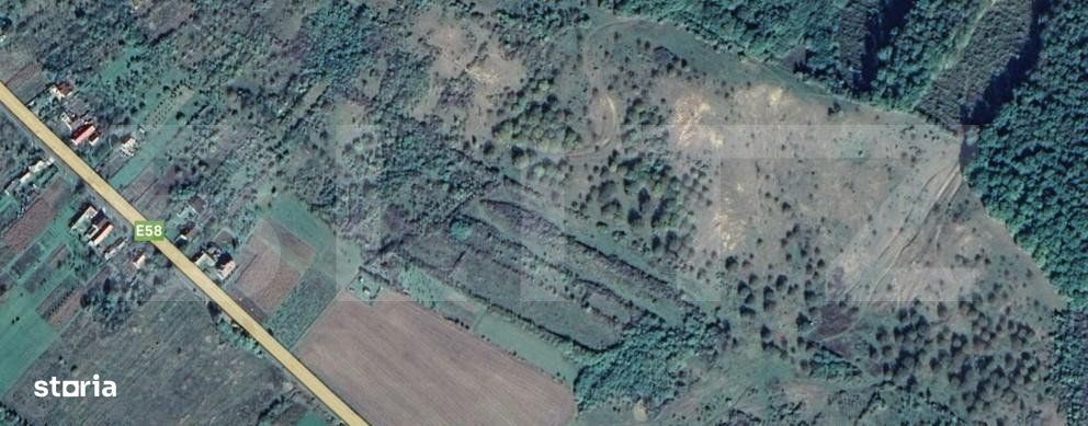 Livada de nuci – 2 ha | Acces DN17 | Investitie profitabila - Cristu