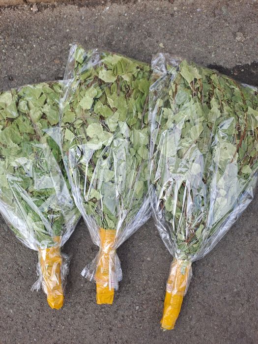 Продаю веник берёза