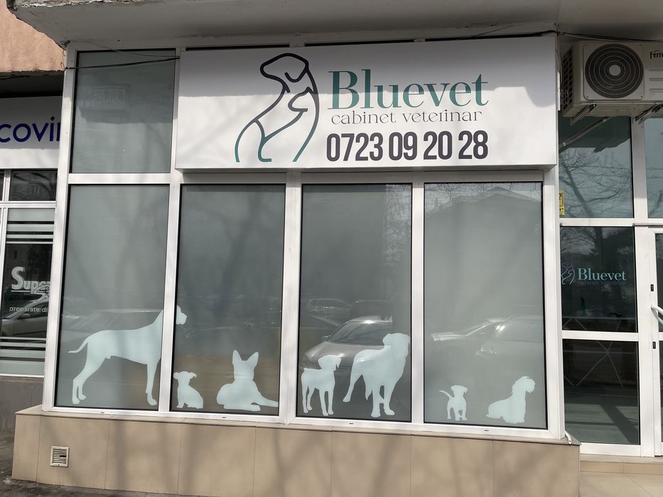 Reclame luminoase - firme luminoase - casete luminoase