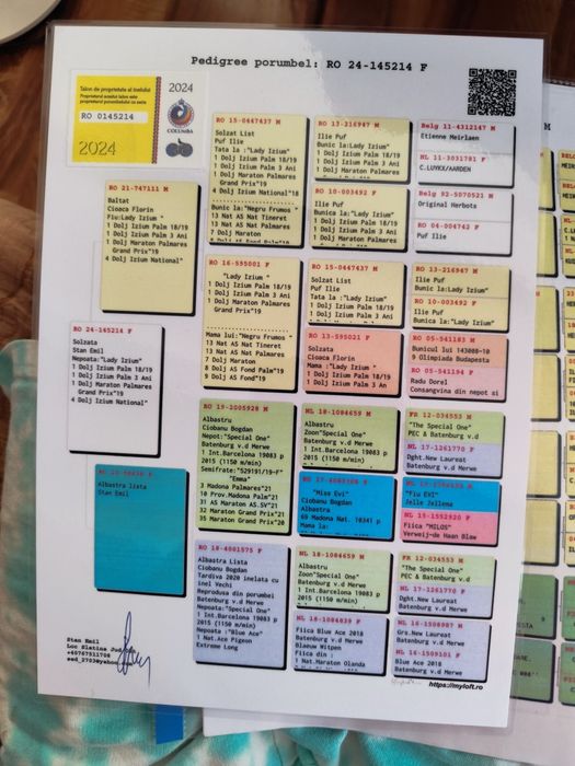 Mascul voiajor ,linii foarte bune