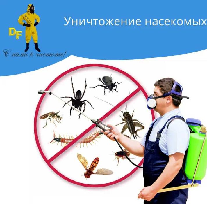 Тараканы и клопы не уходят Дезинфекция Алматы от насекомых Дизенфекция