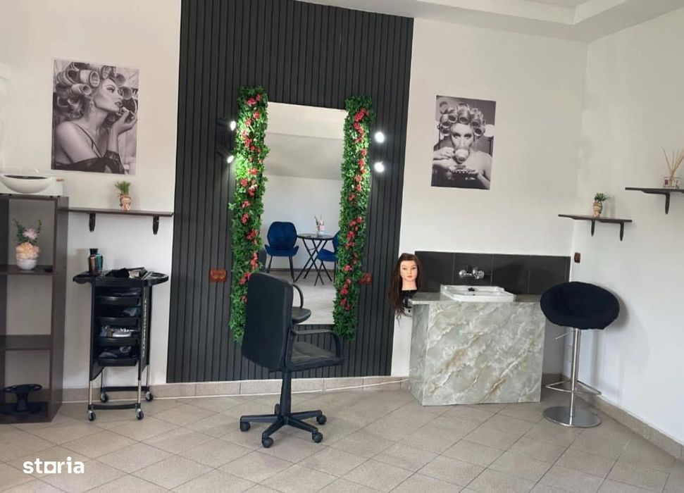 Cornu - ultracentral - Spațiu 40mp - 250 Euro/Luna