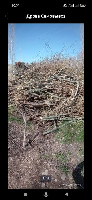 Утин дрова сотилади