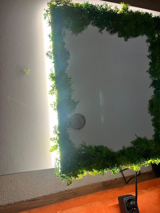 Oglinga cu led si lichieni