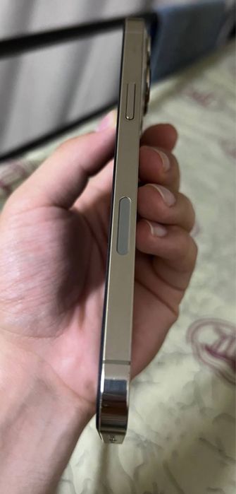 iPhone 13Pro Max