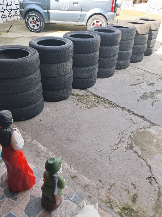 Vând porumbei ce se vede R16