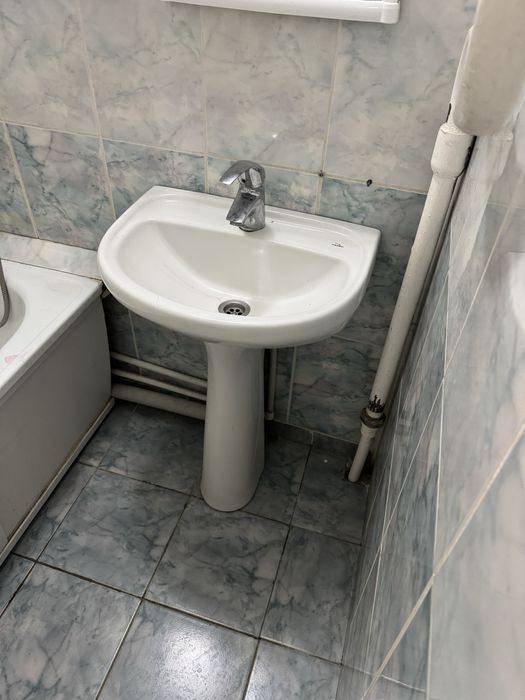 Раковина тюльпан белого цвета