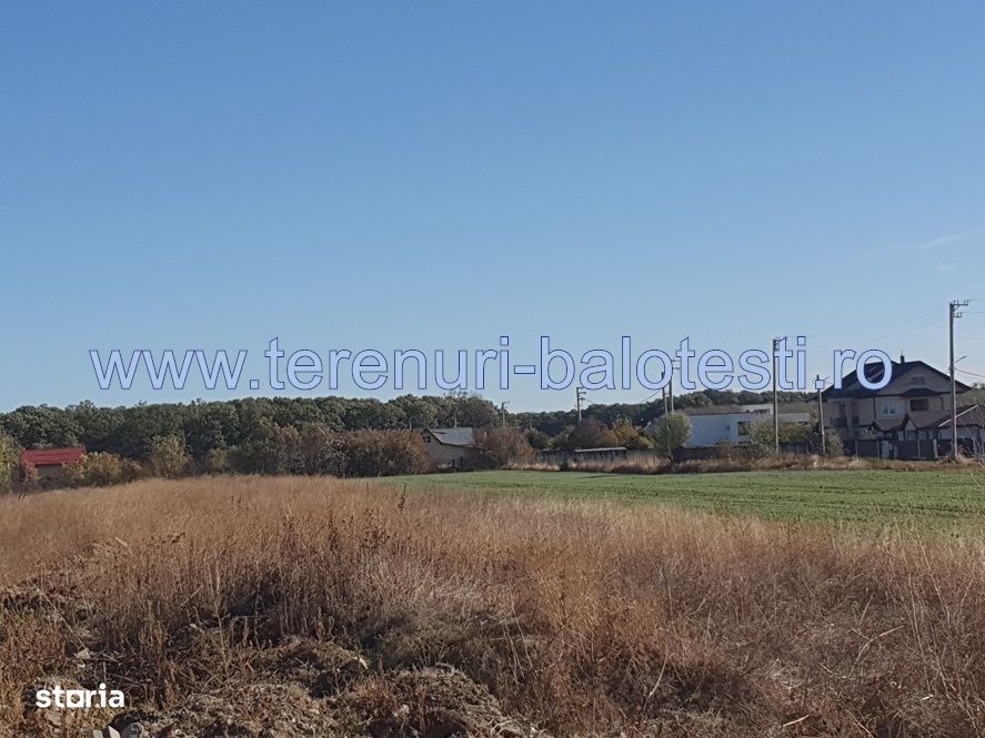 Vanzare teren langa padure,drum amenajat,case noi ,620 mp,26500 E