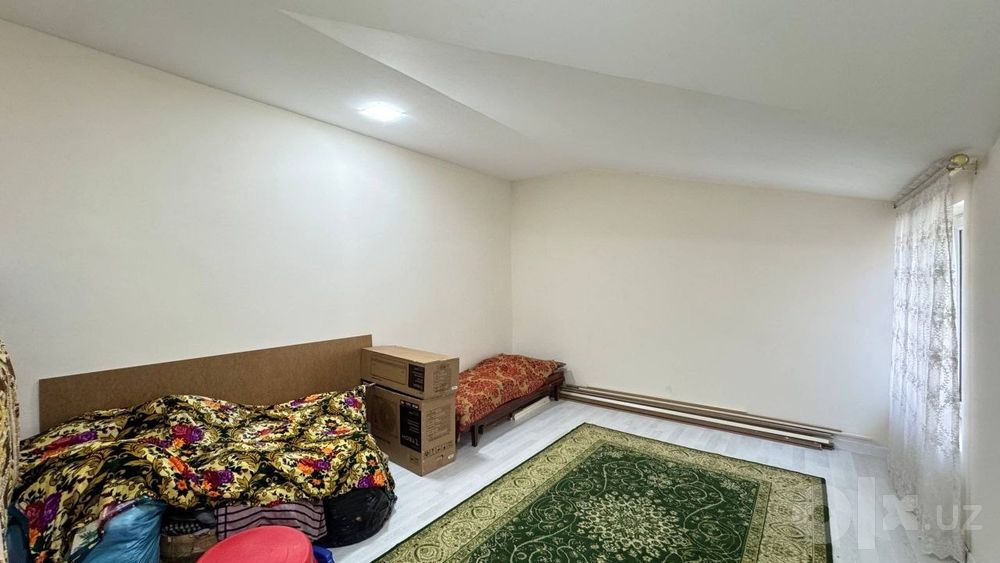 Nazarbek Pushkindan pasroda 7-maktab orqasi