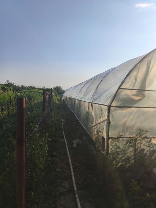 Solar de gradina