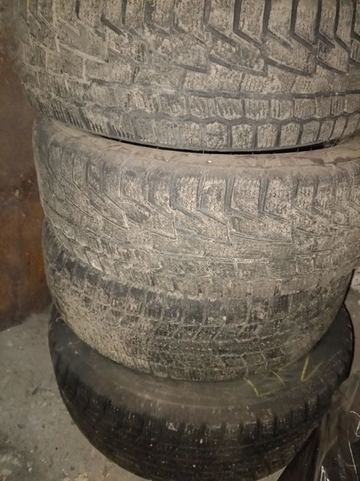 Продам шина хорый