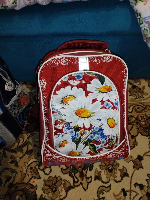 2 сумки для школы предназначены  девочки и мальчика