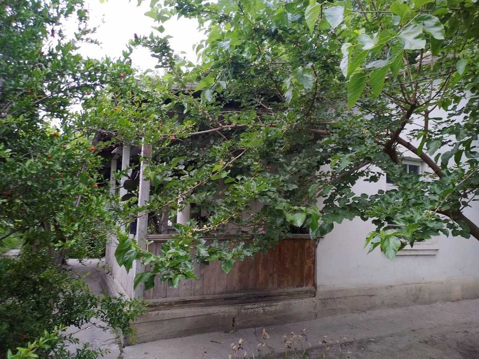 Дам олиш маскани биноси СОТИЛАДИ!!!