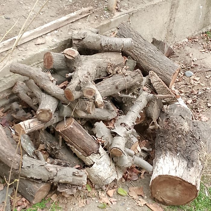 Драва утин хезум