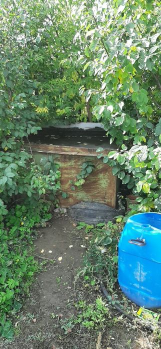 Дача СПП металлург