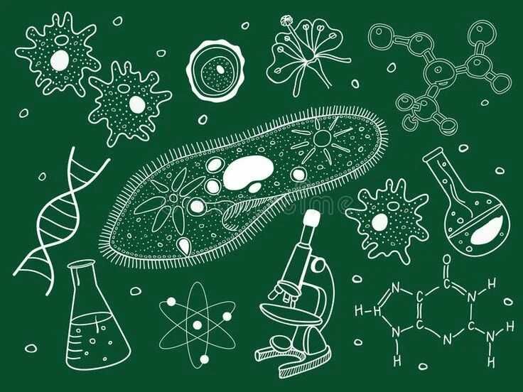 Репетитор по Биологии