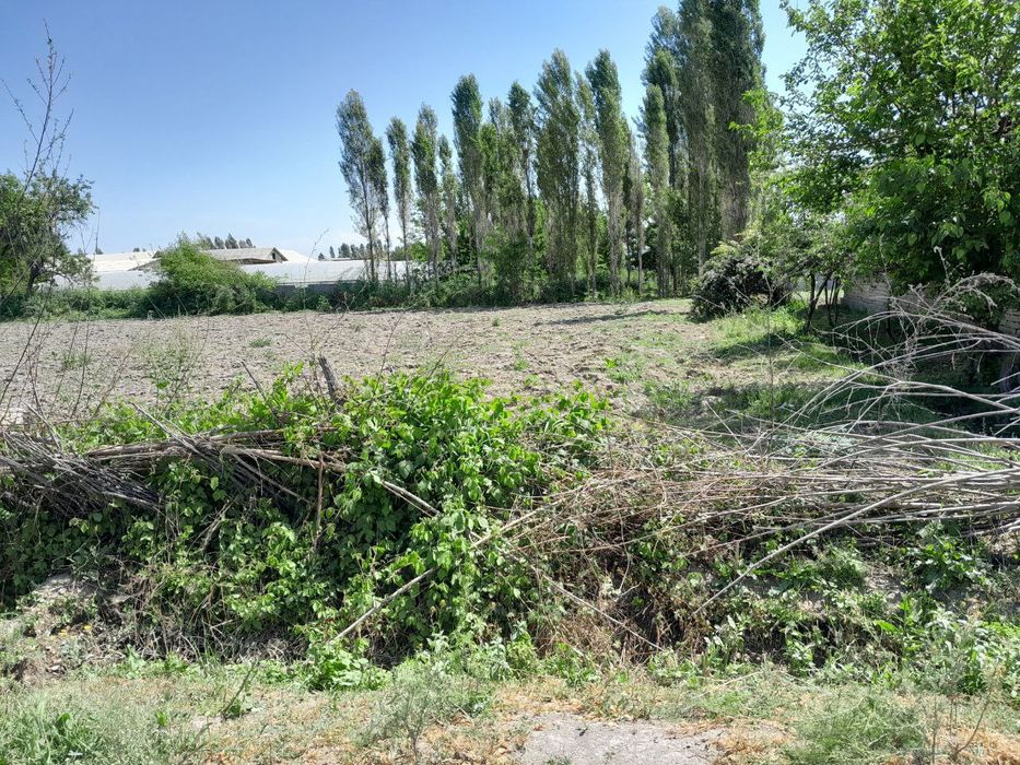 Участка 45 сотик