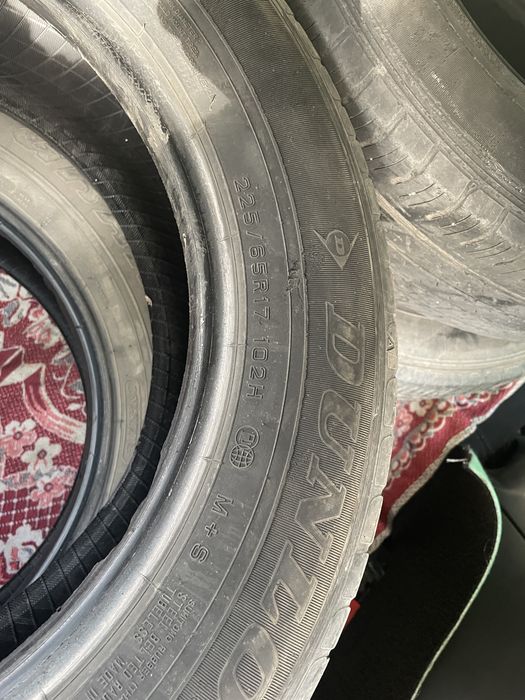 Dunlop grantrek 225 65