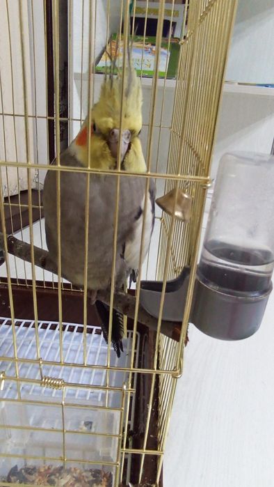 Он в хорошем состоянии