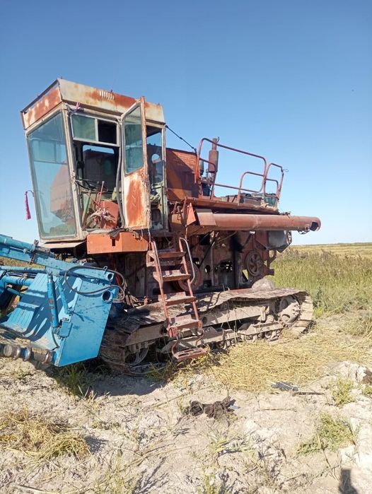 Енесей жатка гусинечный