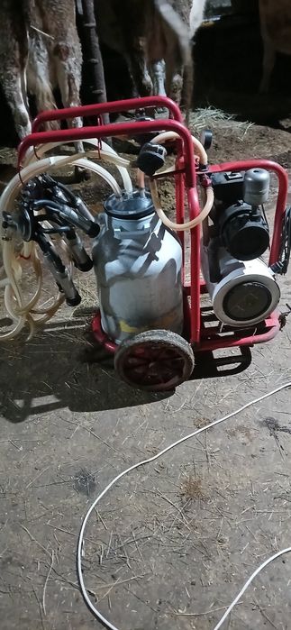 Апартаменты доильный