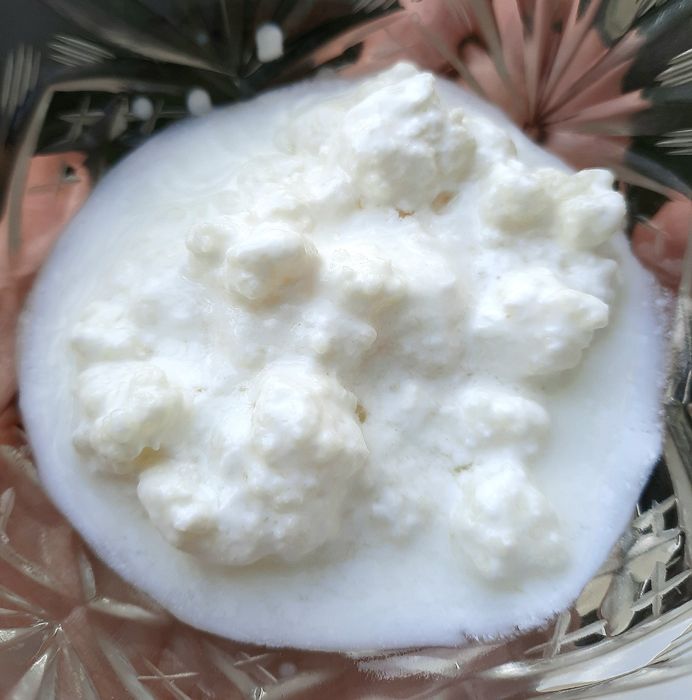 Ciupercă Tibetană de Kefir