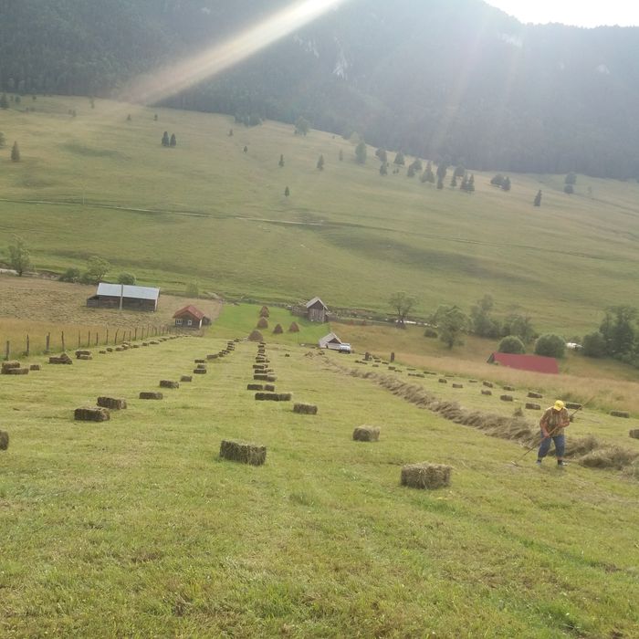 Fân de munte calitate I cu transport