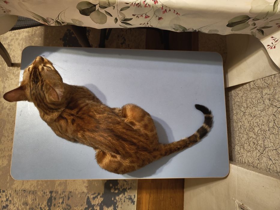 Столик  для малышей