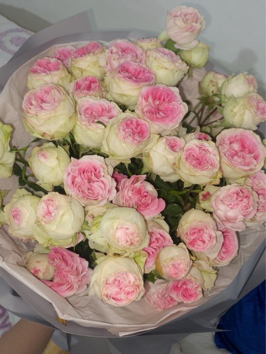 Цветы свежие раскрываются