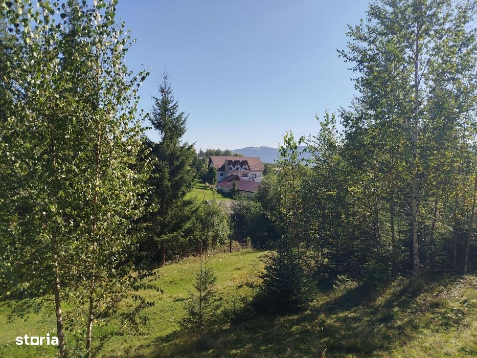 Camin de batrani + Ferma de sturioni/Saru Dornei