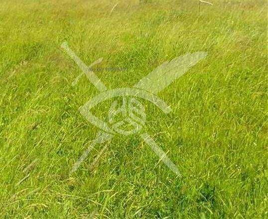 Парцел - Меден Рудник