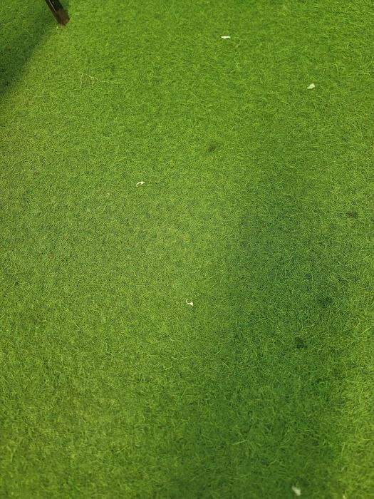 искусственный газон