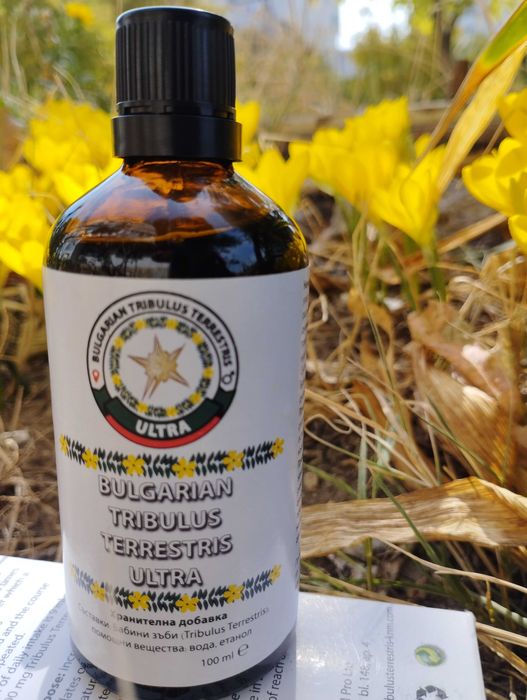 САМО СЕГА! Екстракт от Бабини зъби с ДОКАЗАНО БГ ПРОИЗХОД+ЧАЙ подарък