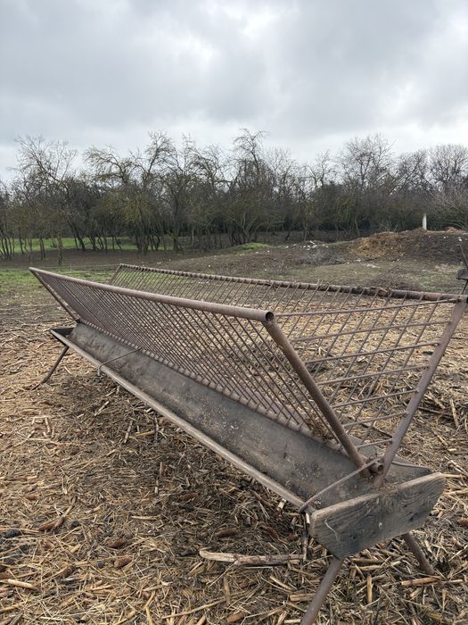 Vând scări pentru hrănire oi