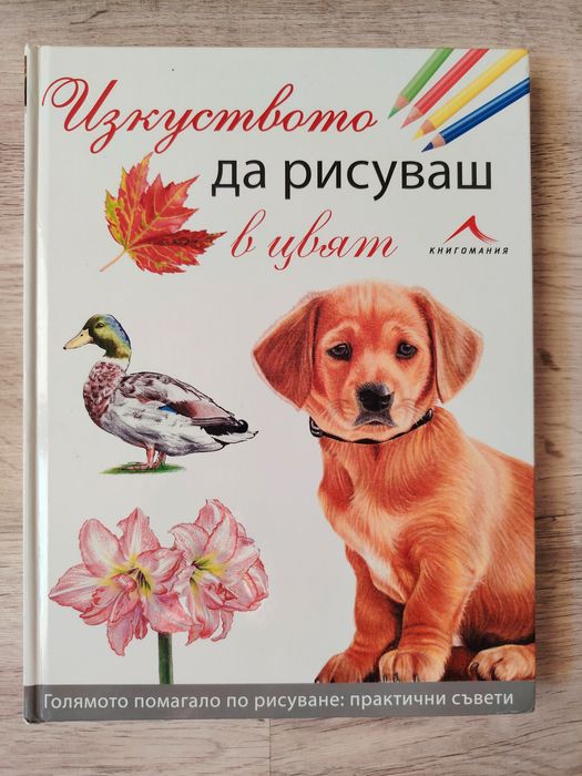 „Изкуството да рисуваш в цвят“ – Книгомания (Твърди корици), нова