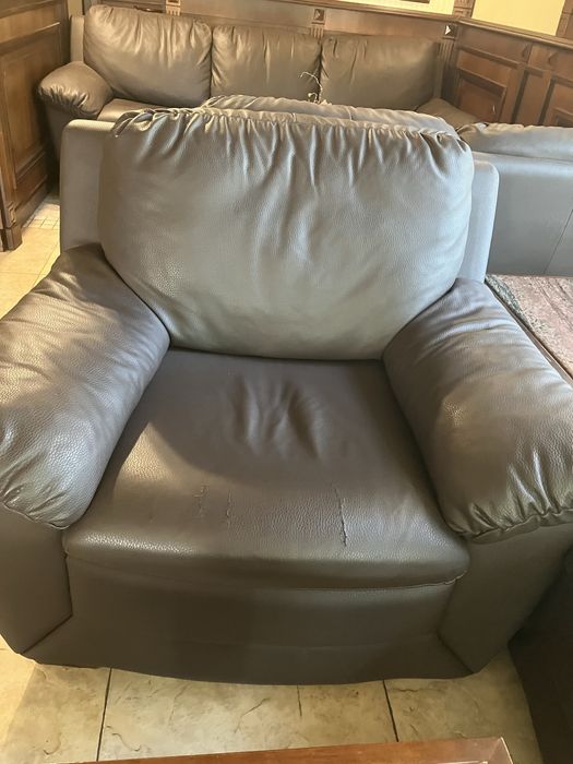 Кожени дивани  и фотьойл